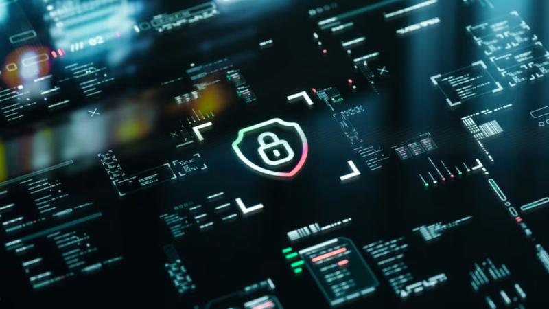 门源软件开发公司